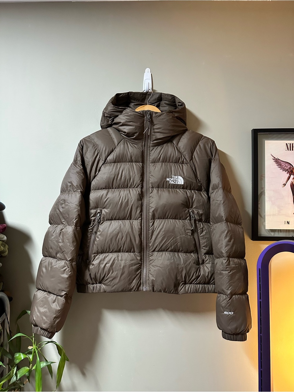 The North Face Hyalite Down Hoodie
